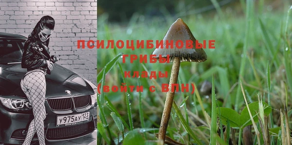 mdpv Абинск