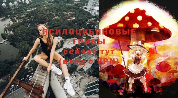 герыч Абаза