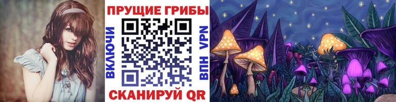 маркетплейс клад  Райчихинск  Псилоцибиновые грибы Psilocybine cubensis  закладки 