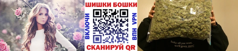 Канабис сатива  где купить наркотик  Райчихинск 